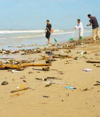 beach cleaning